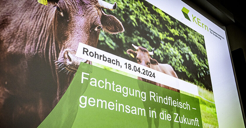 Fachtagung Rindfleisch KErn